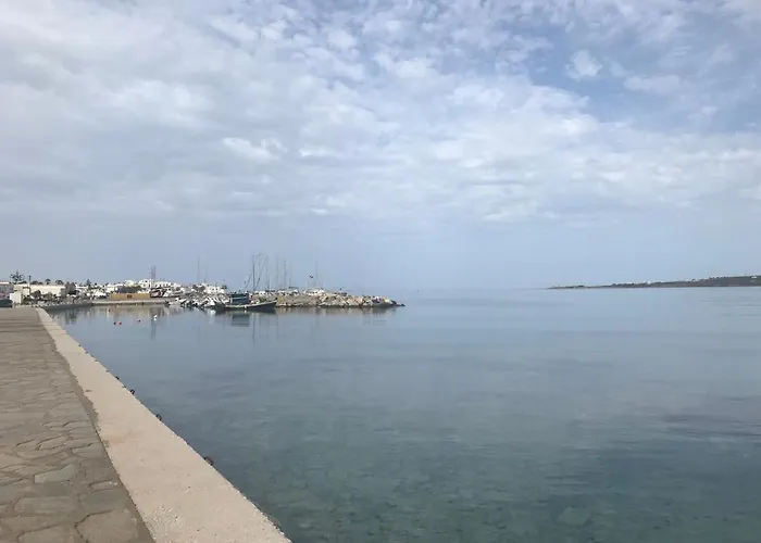 Violeta Family Livadia Páros